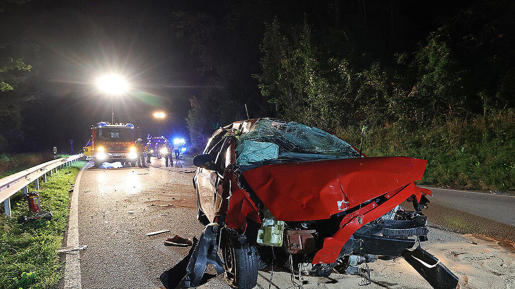 Reh_Unfall_Piding
