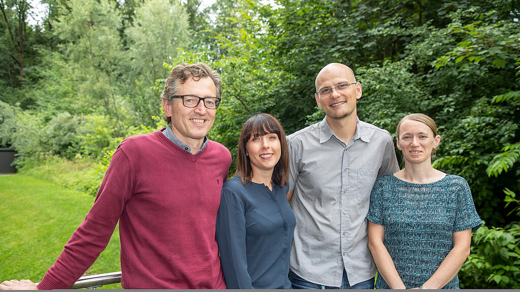 Millionenschwere Förderung für Salzburger Forscher