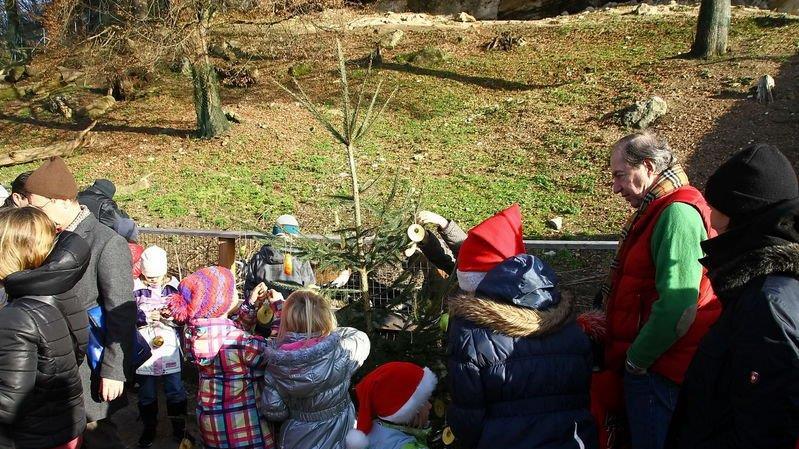Weihnachten im Zoo