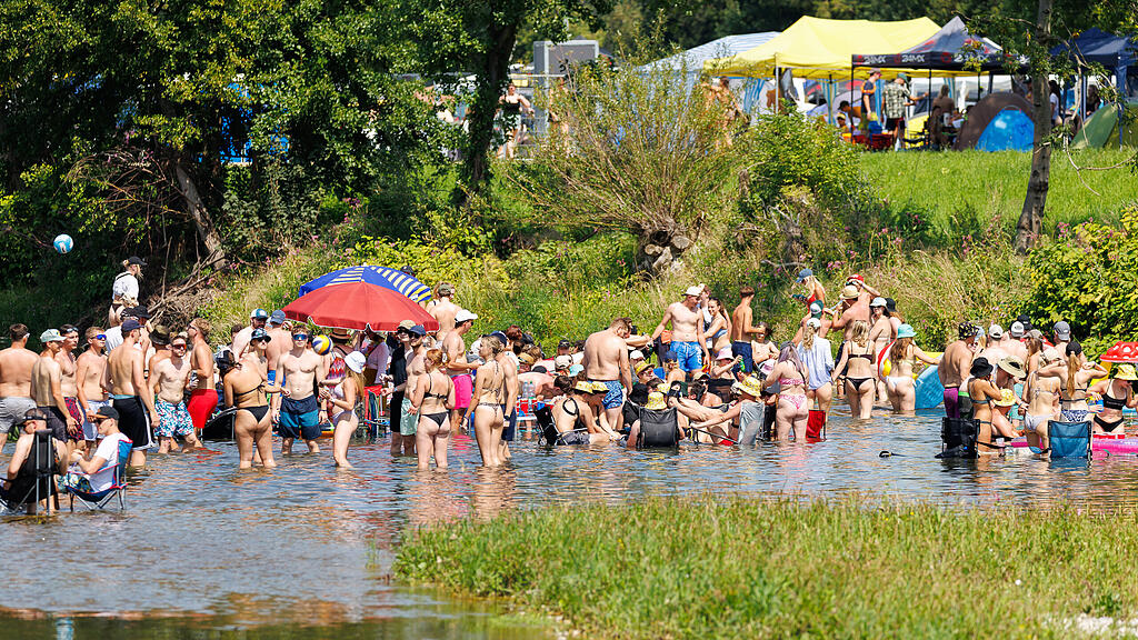 Frequency Festival