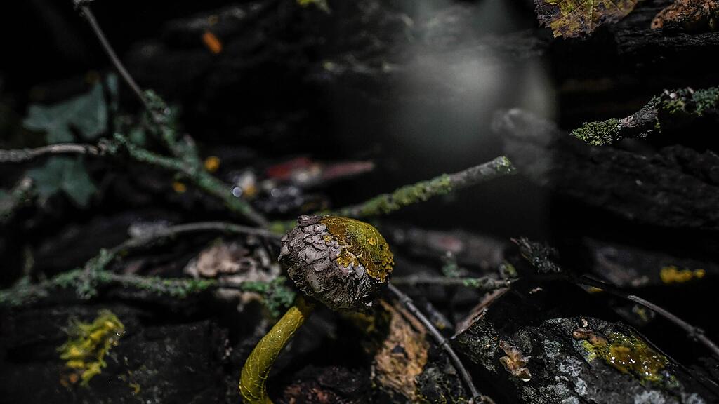 20191016_PD3251.HR.jpg