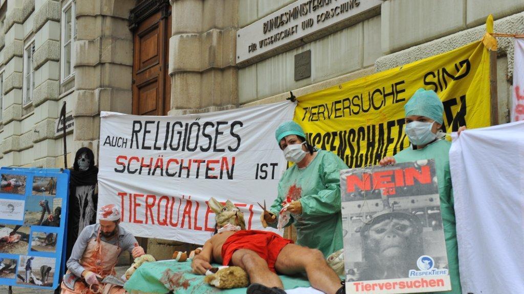 Tierschutz in die Verfassung: Protest in Wien (15.10.12)