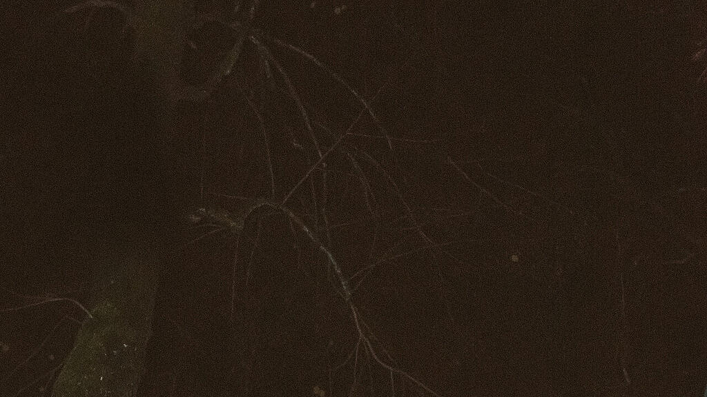 Krampuslauf Schloss Aigen
