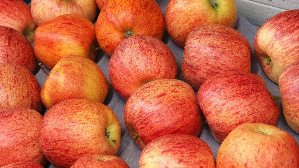 Die besten Schnäppchen in Bildern