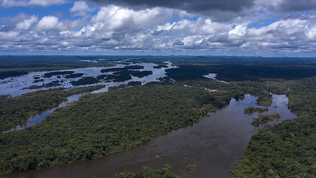 1,35 Mio.Hektar an Regenwald in Brasilien verloren