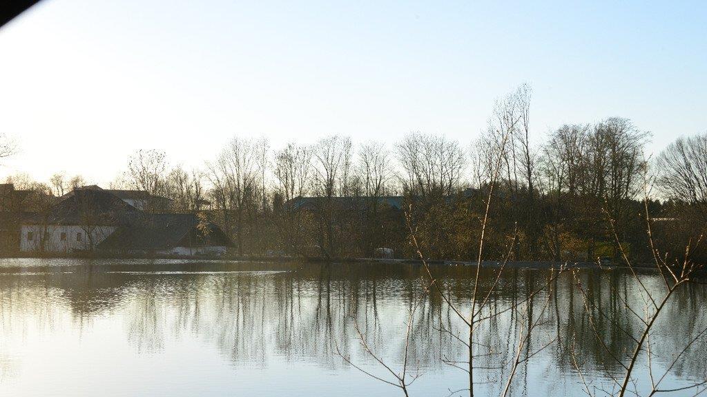 Frühlingserwachen im Flachgau
