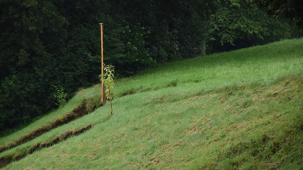 Hangrutsch Anger