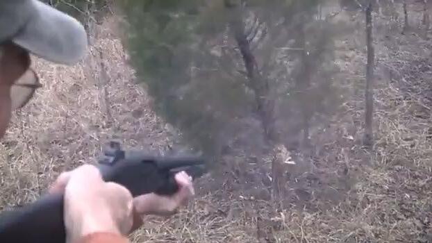 Sieben Schüsse bis er fällt. Mit dem Gewehr zum Weihnachtsbaum.