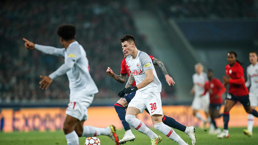 Lille, Salzburg, Champions League, Sesko