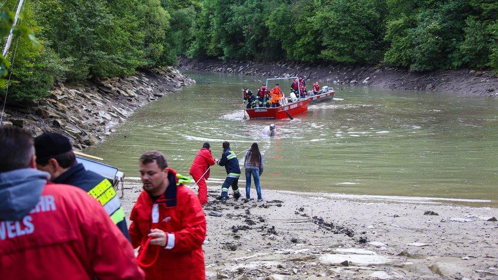 Pferderettung durch die Feuerwehr