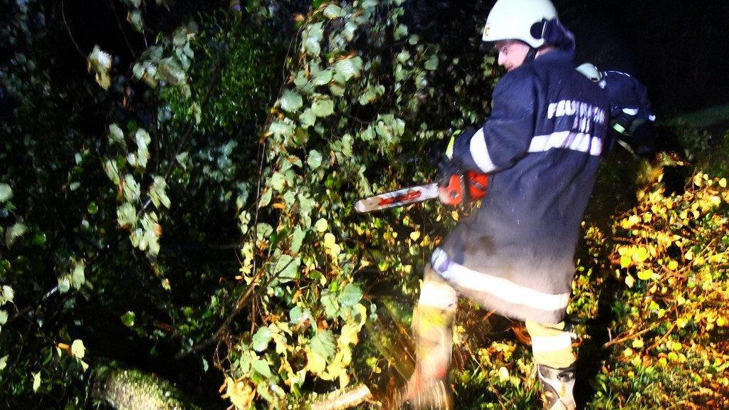 Sturm über Salzburg: Umgestürzter Baum in Anif