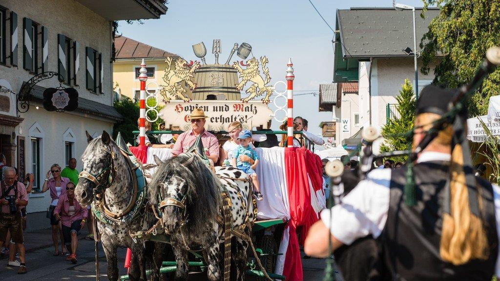 Walser Dorffest 2015, II