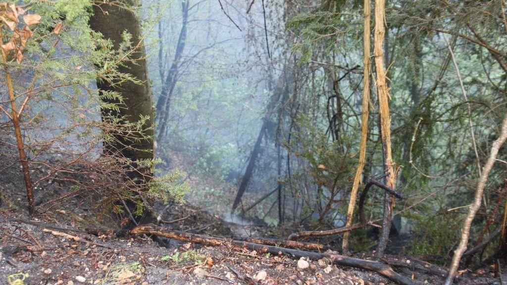 Böschungsbrand in Traunfall