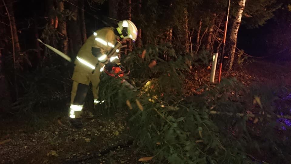 Feuerwehr Thalgau im Einsatz