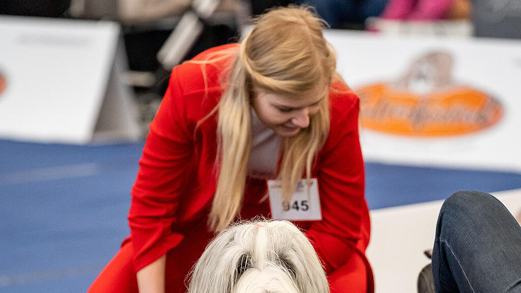 Internationale Hundeausstellung Salzburg 2022