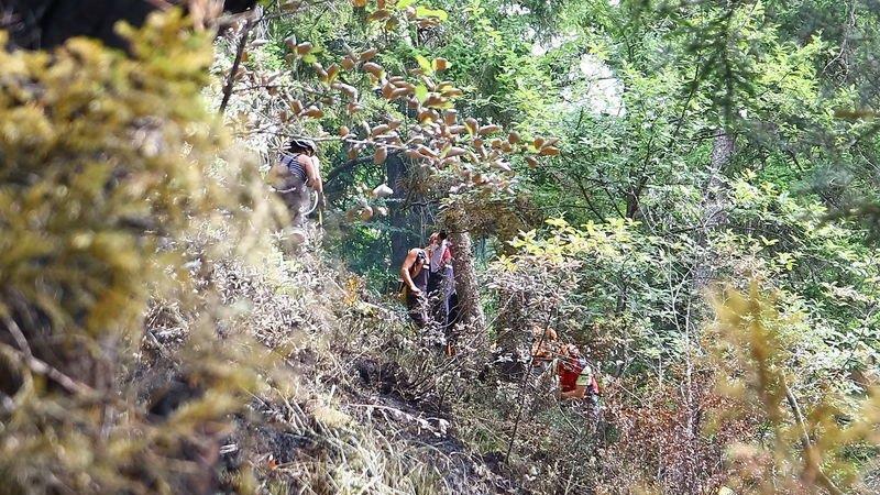Waldbrand unter Kontrolle
