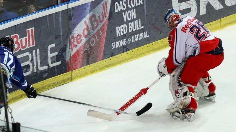 Red Bulls vs. Fehervar