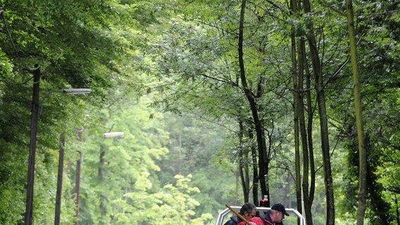 Rehe gerettet