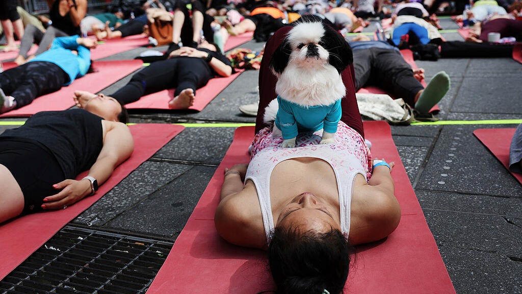 yoga2.jpg