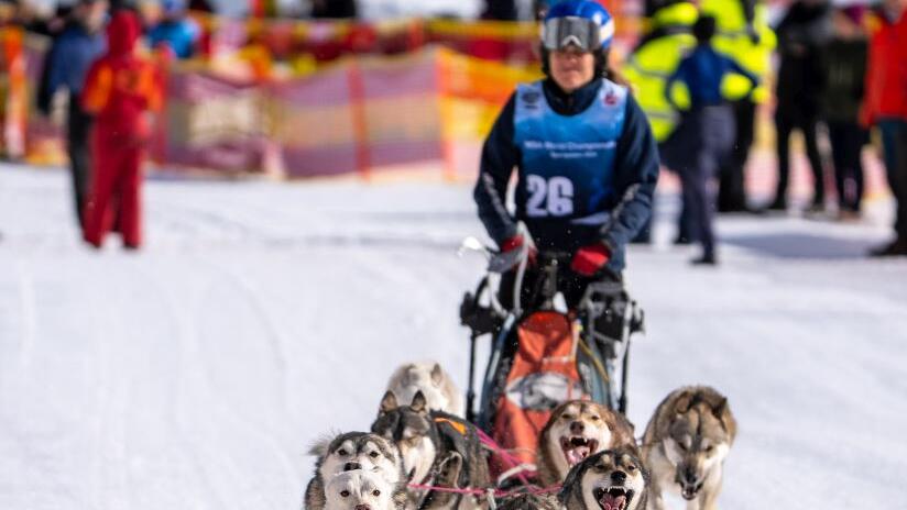 Schlittenhunde-WM in Sportgastein, Samstag