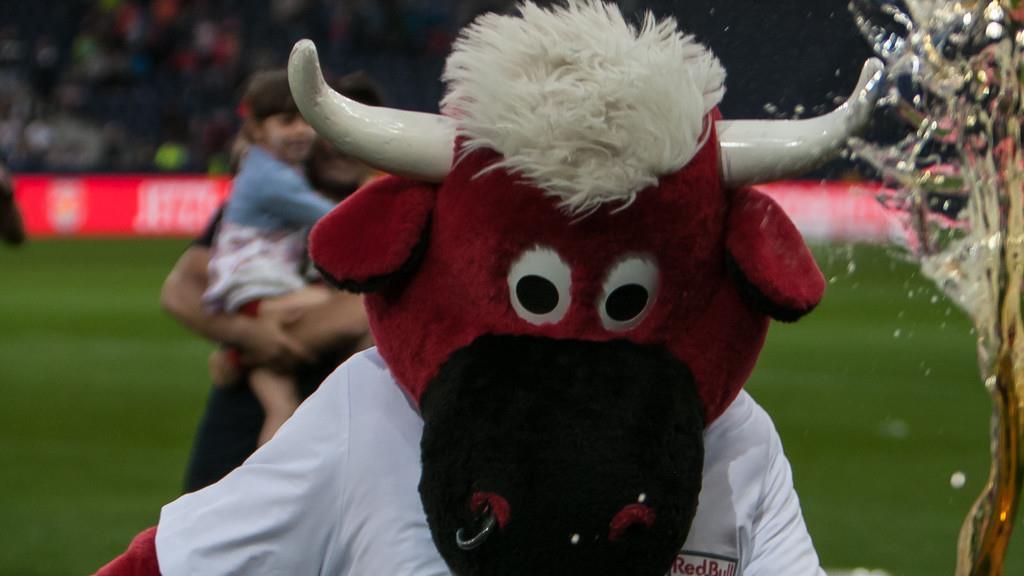 Red Bull - Sturm Graz, Stimmung, I