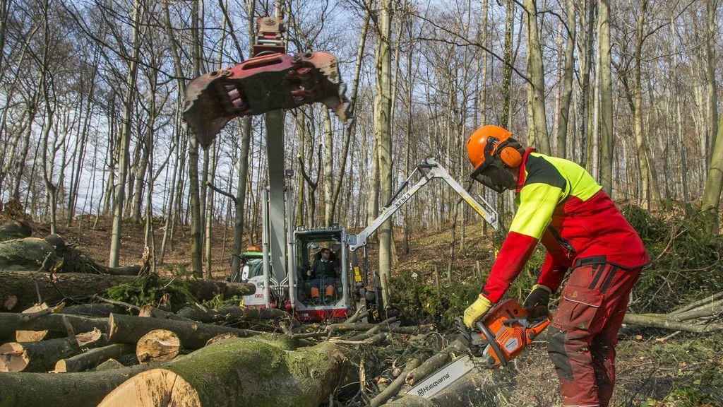 Baumarbeiten am Kapuzinerberg III