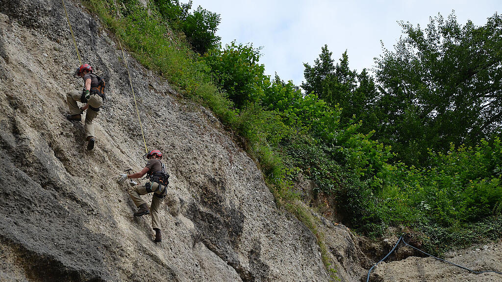 dsc_0335.jpg