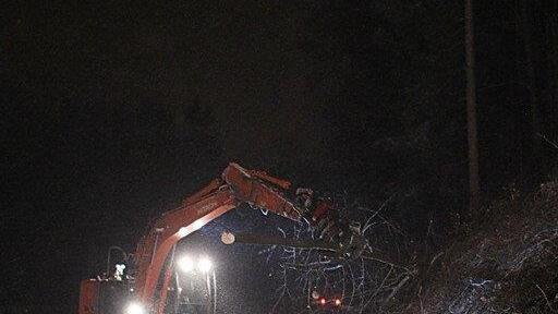 Rodungsarbeiten an der A1