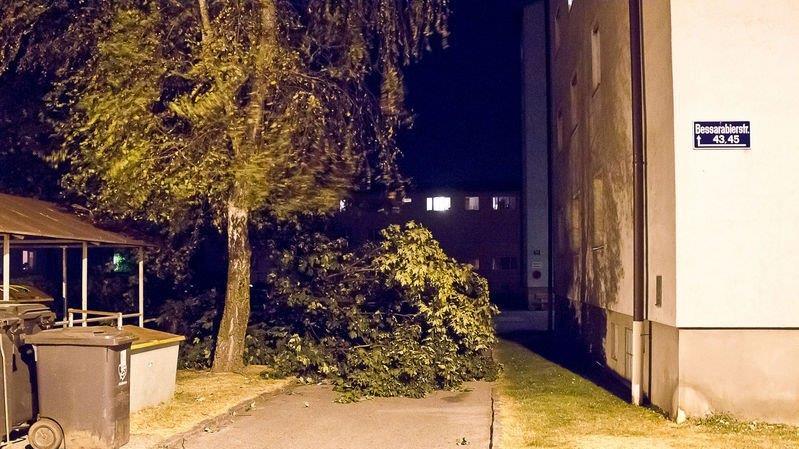 Sturmschäden in Salzburg