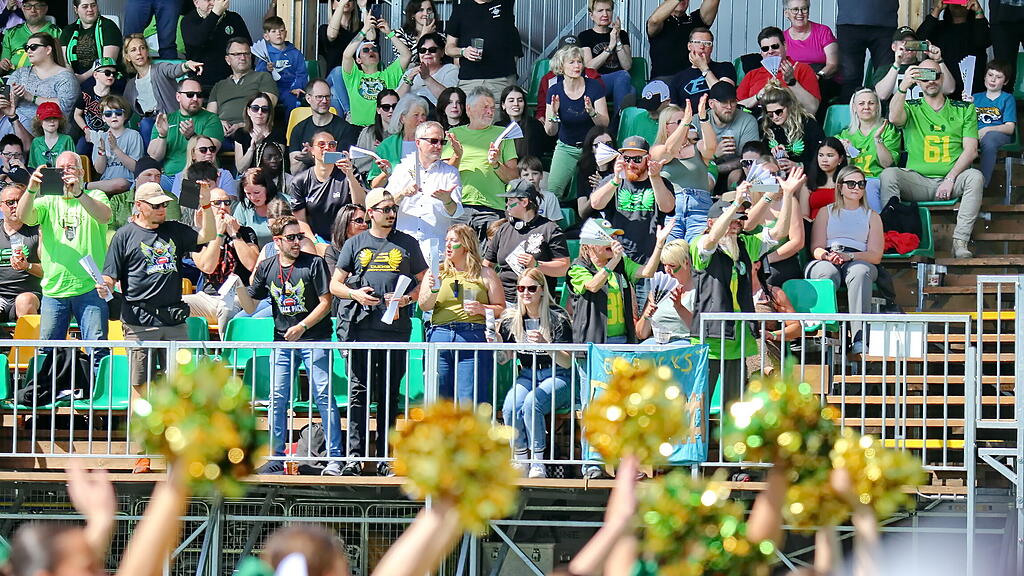 Football, Salzburg Ducks, Vienna Vikings