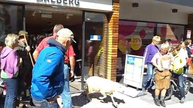 Schafsherde in Sportgeschäft am Tiroler Arlberg