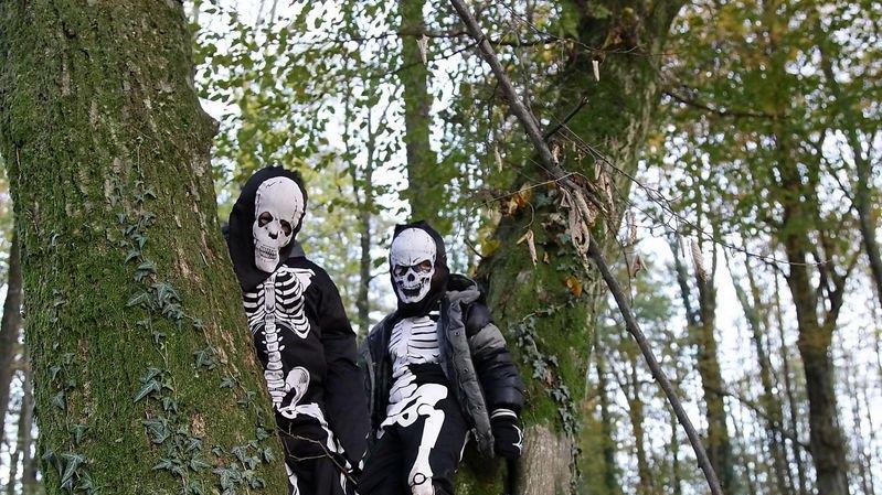 Halloween im Zoo