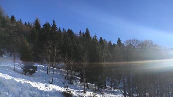 Schneebrett am Schlenken