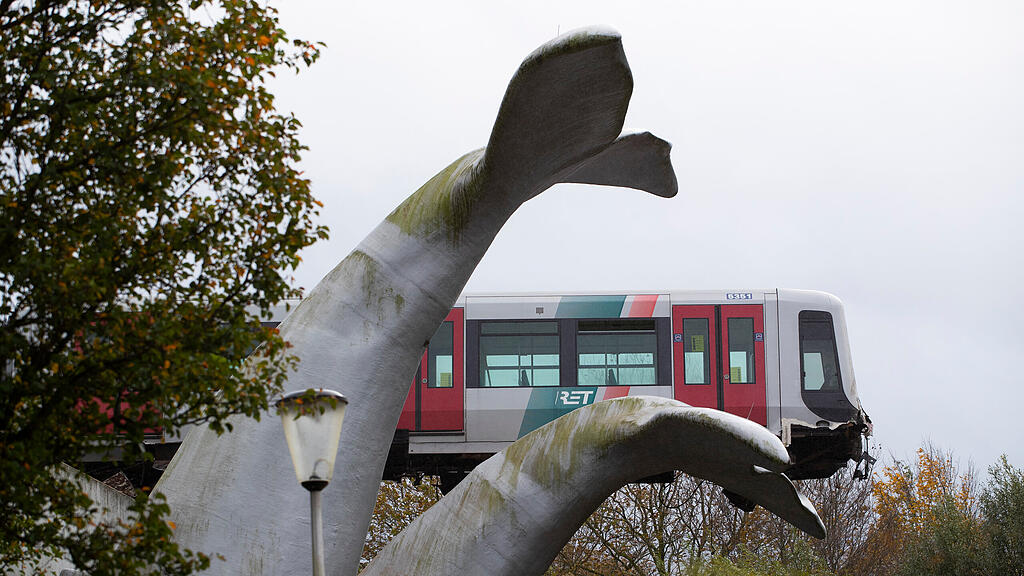Wal fängt Bahn in Niederlanden