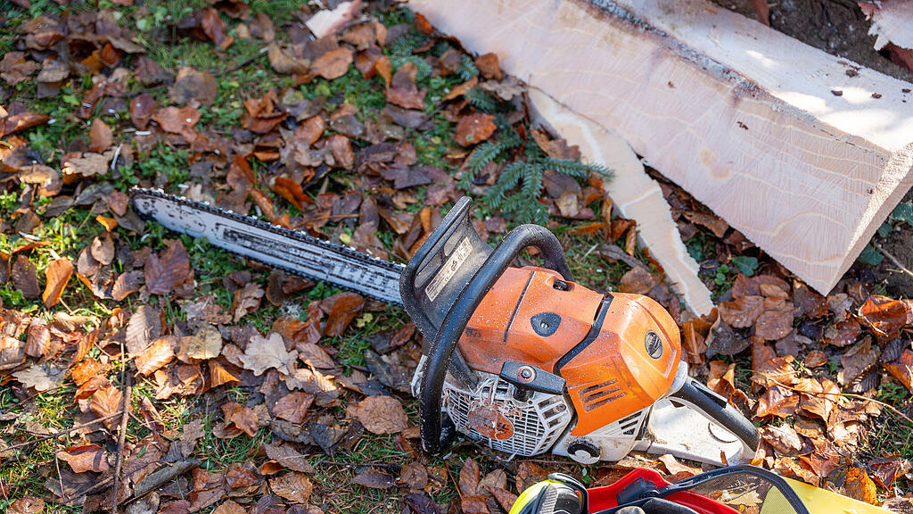 Christbaumernte in St. Jakob am Thurn
