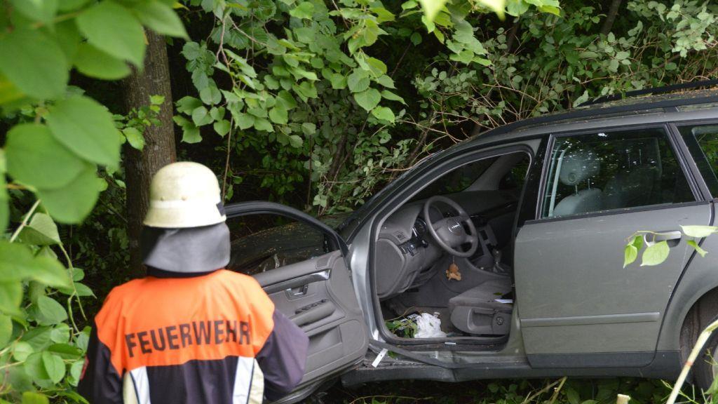 Pinzgauerinnen in Bayern verletzt, I