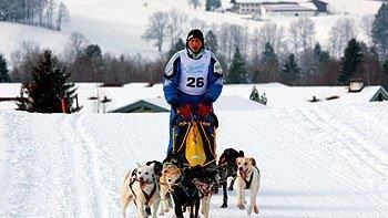 Hundeschlittenrennen in Inzell