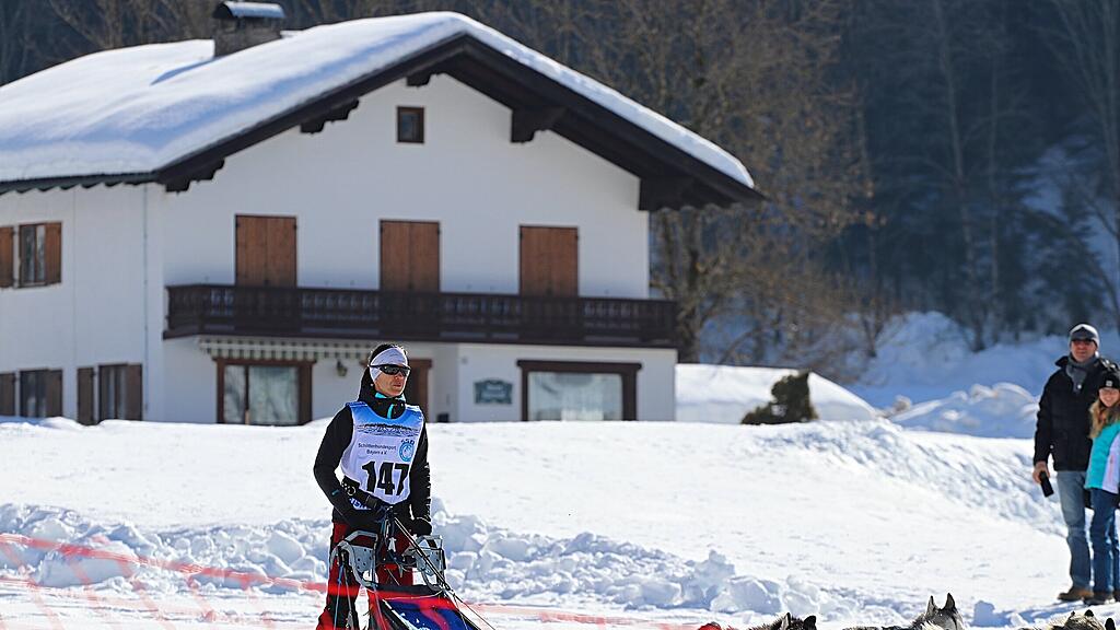 Schlittenhunderennen