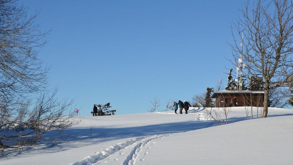 Winterspaziergang am Gaisberg