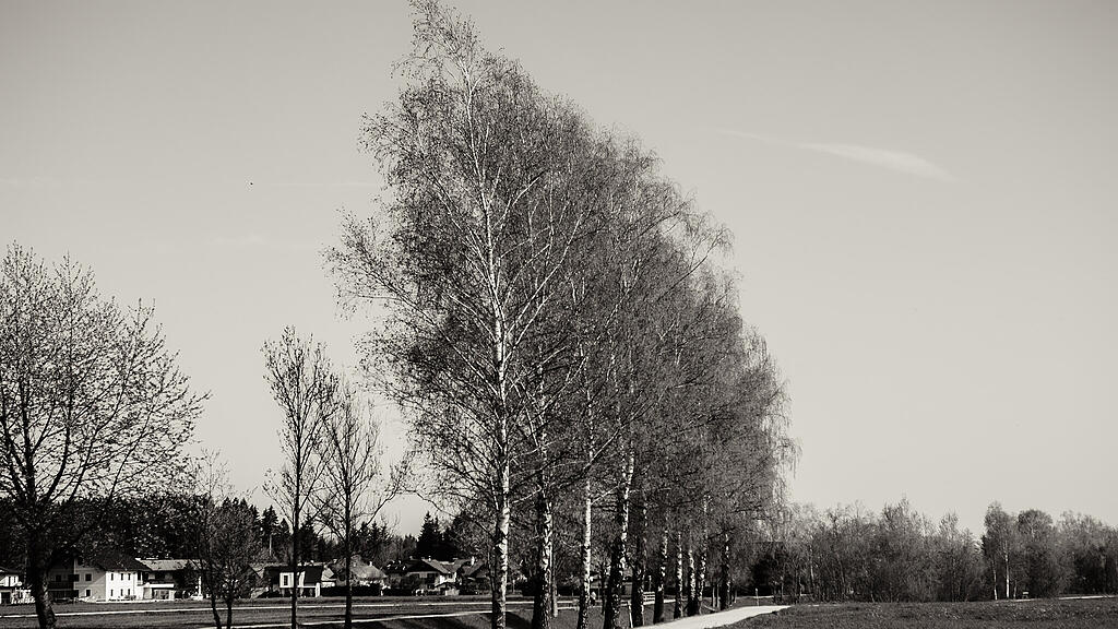 Sonnenspaziergang Glanbach