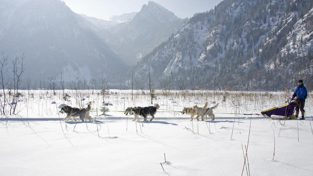 Winterlandschaft in Oberösterreich