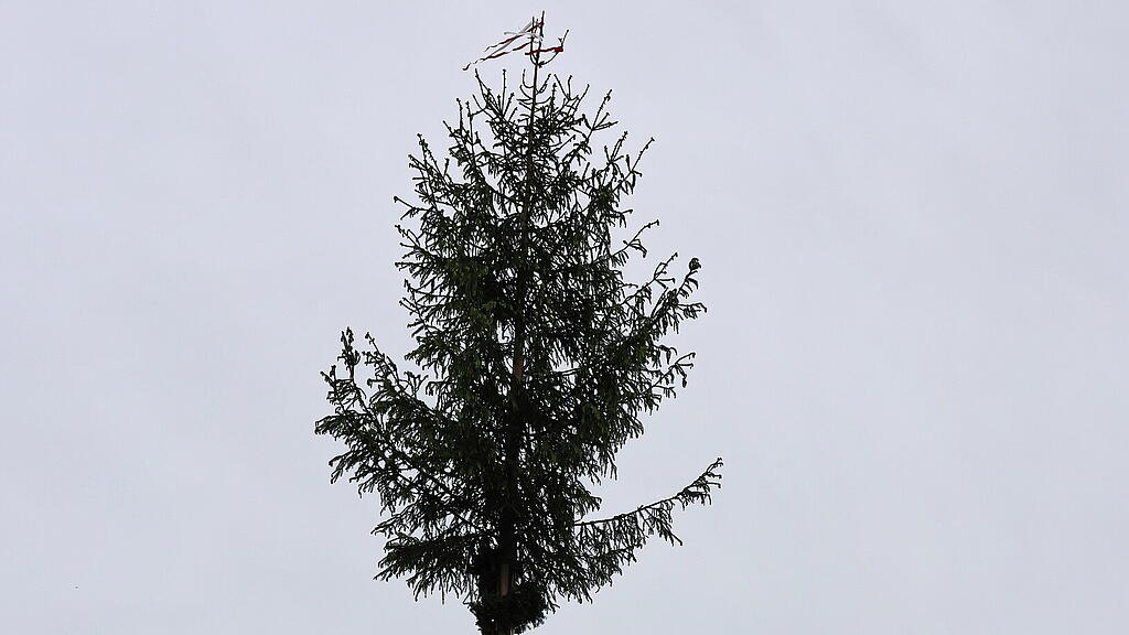 Maibaumaufstellen in St. Jakob am Thurn
