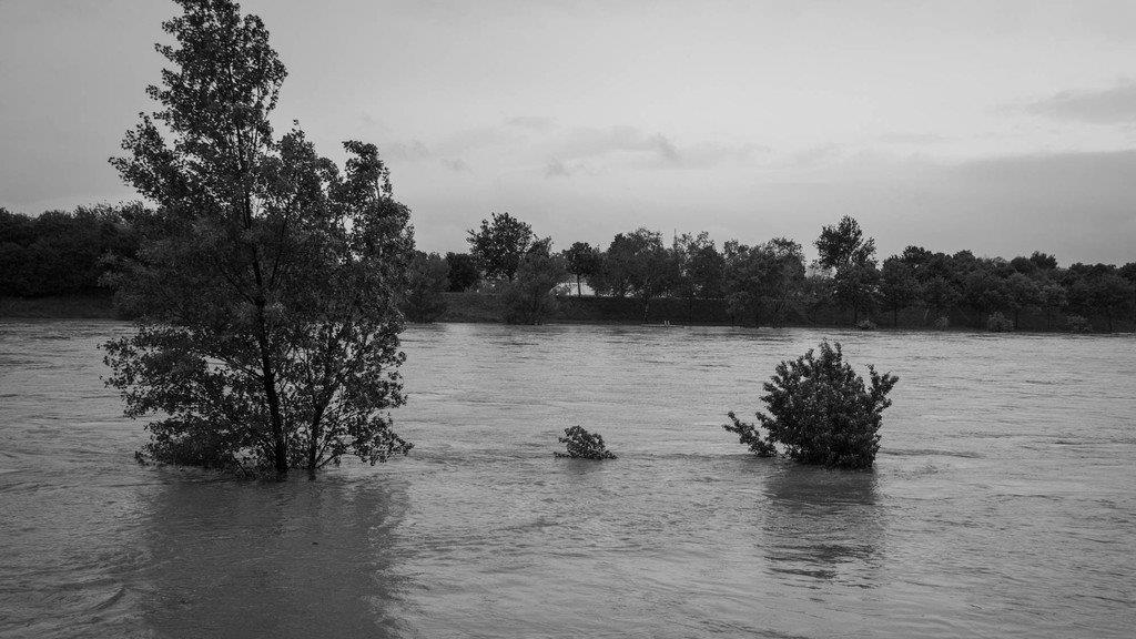 Hochwasser in Wien