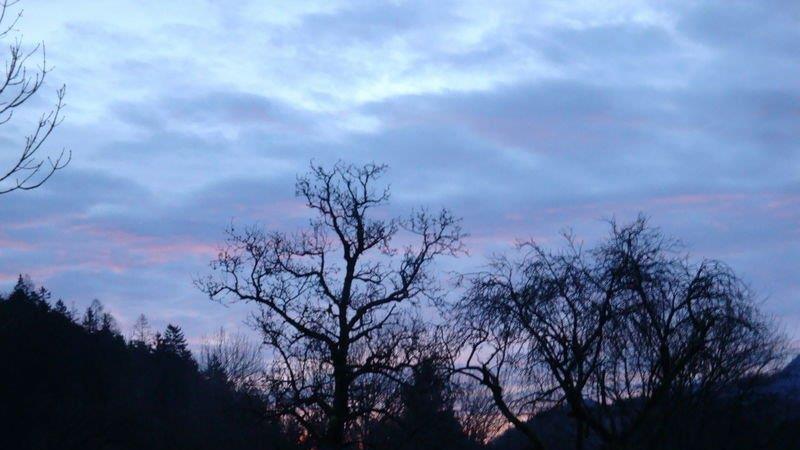 Morgenimpressionen aus Ebenau