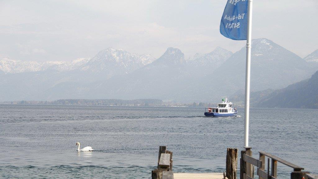 Wolfgangsee Schifffahrt