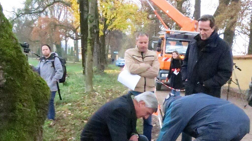 Auch Vize-Bürgermeister Harry Preuner und Stadtrat Johann Padutsch waren bei der Baumbesichtigung dabei.
