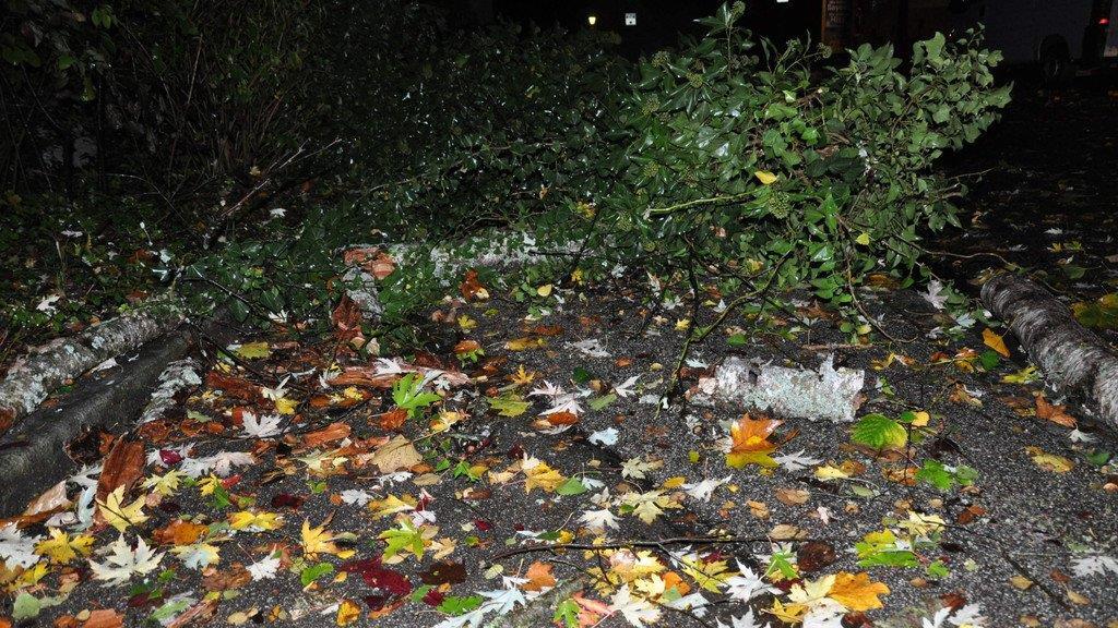 Sturm: Einsätze in Bad Reichenhall