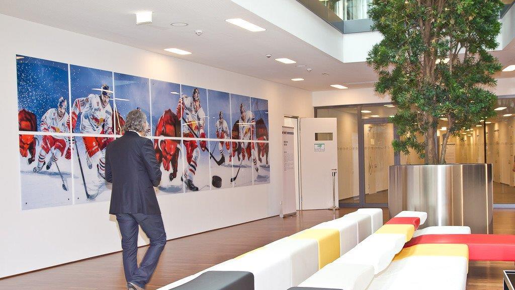 Red Bull Akademie in Liefering
