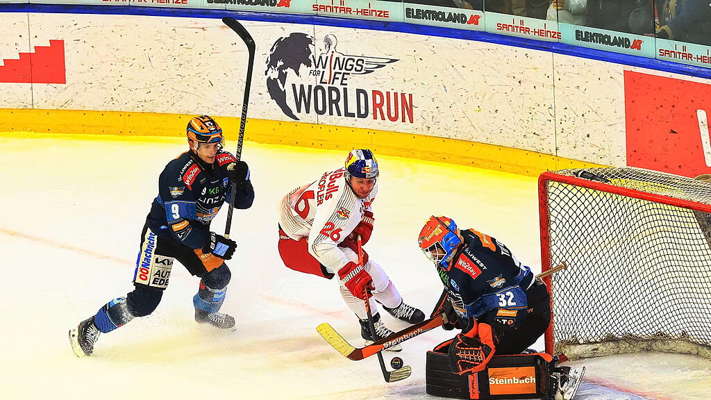 Red Bull Salzburg_Black Wings Linz