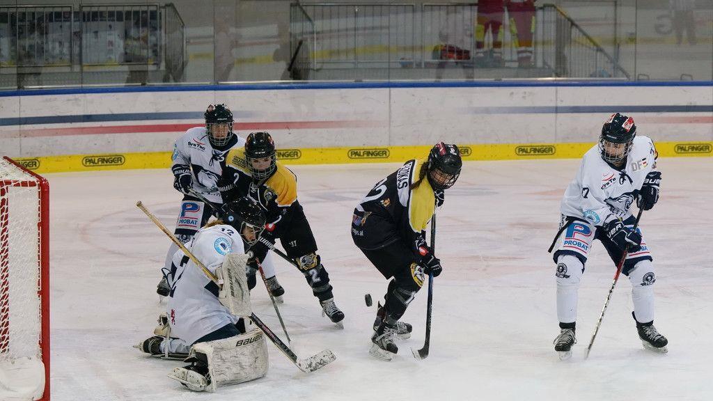 Eishockey: Eagles schreiben doppelt an